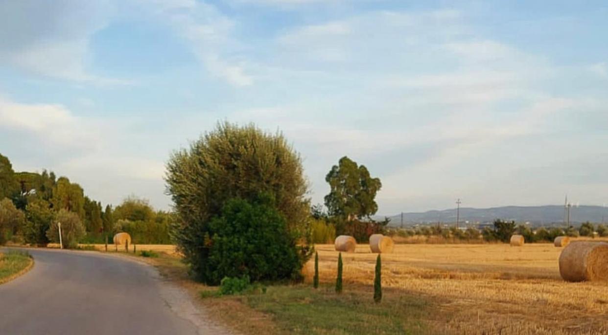 كاشينا Il Cantuccio المظهر الخارجي الصورة